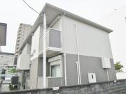 サウスフィールド