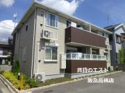 ハイバレーいせき