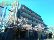 ＪＲ京葉線舞浜駅まで徒歩15分