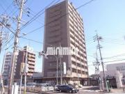 サーナ野並