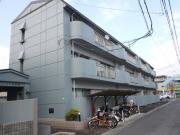ハイコーポ矢野