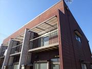 セントラルコーポ