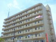 ウインザーハイム西川口