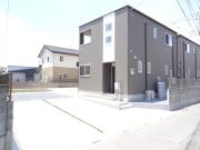宿根ロータス