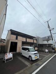 プラシード