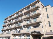 APEX FLAT
