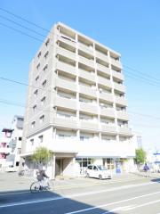 ルガーノ杉井流