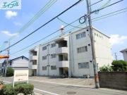 洲崎ハイツ