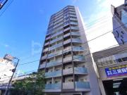 ＪＲ総武本線錦糸町駅まで徒歩8分