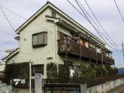 グリーンペア977