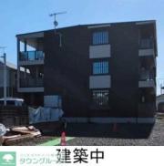 ヴィオラ