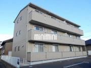 アムール中手