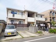 コート・山法師