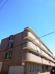 コンチネンタル山の手V