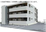 D-crinum川島田