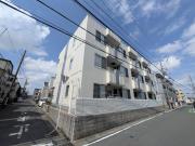ホワイトシャイン