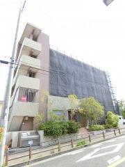 Step up Court