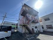 ポインセチア西ヶ崎
