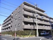 コスモ学芸大学