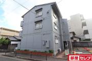 高見パピルス