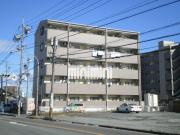 ロイヤルハートピア郷津 B