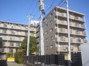 伊豆箱根鉄道駿豆線三島広小路駅まで徒歩19分