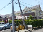 ジョリパルテールB