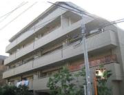 コンフォール場