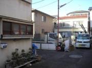 ゴールドクレスト