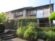 ラヴィル・ヒロ