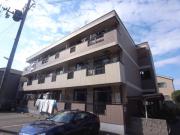 Casa IKUMATAIII