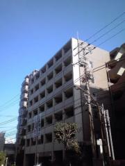 イーリスニシオオジマ