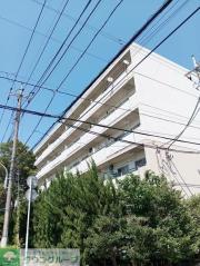 プロミネント馬橋