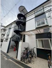 ゴールドクレスト
