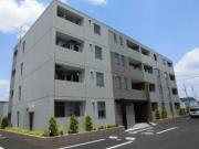 カーサシクーラ
