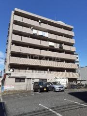 フェニックス並木