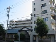 信開ウエラコート津内
