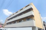 NEWORK