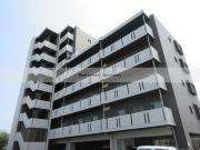 Catalina APT