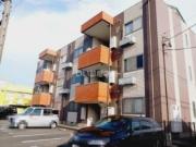 シルクヴェールフジ A