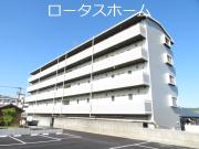 国分ロイヤルハイツ
