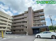 N・O桜と道