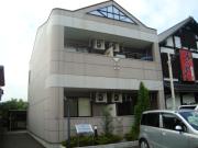 カーティアス F