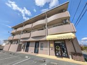静岡県浜松市中央区根洗町