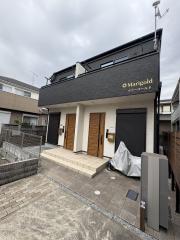 マリーゴールド