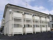 AMI-II