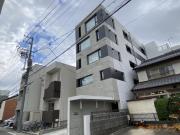 COZY菊井