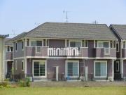 エム・プルミエC