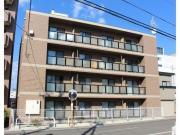Briller五稜郭