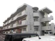 CAMELLIA HEIGHTS